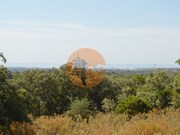 Terreno Urbano - Moncarapacho, Olh�o, Faro (Algarve) - Miniatura: 4/5