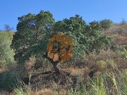 Terreno R�stico - Odeleite, Castro Marim, Faro (Algarve) - Miniatura: 3/9