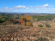 Terreno R�stico - Odeleite, Castro Marim, Faro (Algarve) - Miniatura: 4/9