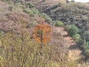 Terreno R�stico - Odeleite, Castro Marim, Faro (Algarve) - Miniatura: 5/9
