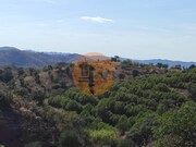 Terreno R�stico - Odeleite, Castro Marim, Faro (Algarve) - Miniatura: 7/9