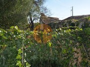 Terreno R�stico - Moncarapacho, Olh�o, Faro (Algarve) - Miniatura: 4/9