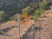 Terreno R�stico - Azinhal, Castro Marim, Faro (Algarve) - Miniatura: 4/8