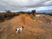 Terreno R�stico - Azinhal, Castro Marim, Faro (Algarve) - Miniatura: 6/8