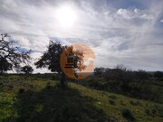 Terreno R�stico - Odeleite, Castro Marim, Faro (Algarve) - Miniatura: 2/9