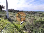 Terreno R�stico - Odeleite, Castro Marim, Faro (Algarve) - Miniatura: 6/9
