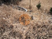 Terreno Urbano - Alcoutim, Alcoutim, Faro (Algarve) - Miniatura: 7/9