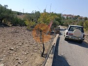 Terreno R�stico - Alcoutim, Alcoutim, Faro (Algarve) - Miniatura: 8/9