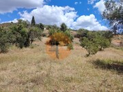 Terreno R�stico - Santa Catarina da Fonte do Bispo, Tavira, Faro (Algarve) - Miniatura: 5/9