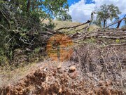 Terreno R�stico - Santa Catarina da Fonte do Bispo, Tavira, Faro (Algarve) - Miniatura: 6/9