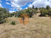 Terreno R�stico - Santa Catarina da Fonte do Bispo, Tavira, Faro (Algarve) - Miniatura: 7/9