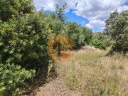 Terreno R�stico - Santa Catarina da Fonte do Bispo, Tavira, Faro (Algarve) - Miniatura: 9/9