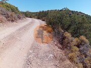 Terreno R�stico - Santa Catarina da Fonte do Bispo, Tavira, Faro (Algarve) - Miniatura: 8/9