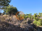 Terreno R�stico - Azinhal, Castro Marim, Faro (Algarve) - Miniatura: 2/9