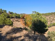 Terreno R�stico - Azinhal, Castro Marim, Faro (Algarve) - Miniatura: 5/9