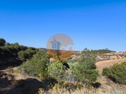 Terreno R�stico - Azinhal, Castro Marim, Faro (Algarve) - Miniatura: 6/9