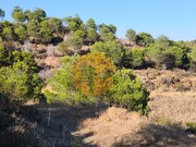Terreno R�stico - Azinhal, Castro Marim, Faro (Algarve) - Miniatura: 7/9