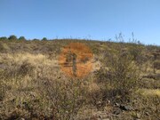 Terreno R�stico - Odeleite, Castro Marim, Faro (Algarve) - Miniatura: 6/9