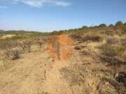 Terreno R�stico - Odeleite, Castro Marim, Faro (Algarve) - Miniatura: 7/9