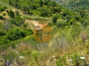 Terreno R�stico - Santa Catarina da Fonte do Bispo, Tavira, Faro (Algarve) - Miniatura: 1/7