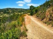 Terreno R�stico - Santa Catarina da Fonte do Bispo, Tavira, Faro (Algarve) - Miniatura: 4/7