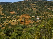 Terreno R�stico - Santa Catarina da Fonte do Bispo, Tavira, Faro (Algarve) - Miniatura: 6/7