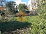 Terreno R�stico - Moncarapacho, Olh�o, Faro (Algarve) - Miniatura: 9/9