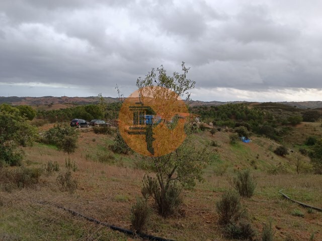 Terreno R�stico - Azinhal, Castro Marim, Faro (Algarve) - Imagem grande