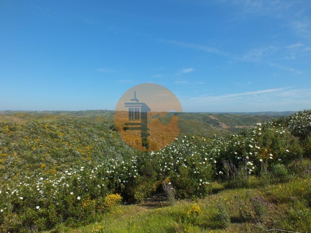 Terreno R�stico - Vila Nova de Cacela, Vila Real de Santo Ant�nio, Faro (Algarve) - Imagem grande