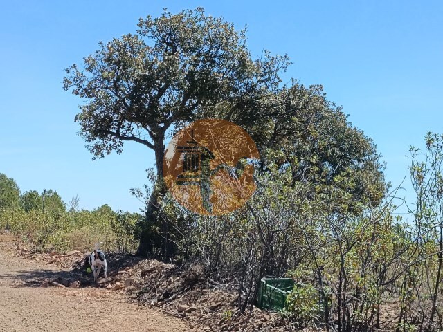 Terreno R�stico - Azinhal, Castro Marim, Faro (Algarve) - Imagem grande