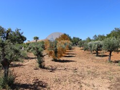Terreno R�stico - S�o Br�s de Alportel, S�o Br�s de Alportel, Faro (Algarve)