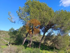 Terreno R�stico - Azinhal, Castro Marim, Faro (Algarve)