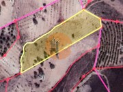 Terreno R�stico - Azinhal, Castro Marim, Faro (Algarve) - Miniatura: 1/9