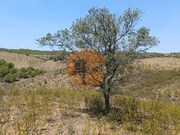Terreno R�stico - Azinhal, Castro Marim, Faro (Algarve) - Miniatura: 2/9
