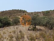 Terreno R�stico - Azinhal, Castro Marim, Faro (Algarve) - Miniatura: 4/9
