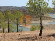 Terreno R�stico - Azinhal, Castro Marim, Faro (Algarve) - Miniatura: 5/9
