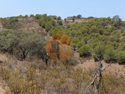 Terreno R�stico - Azinhal, Castro Marim, Faro (Algarve) - Miniatura: 6/9