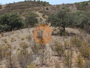 Terreno R�stico - Azinhal, Castro Marim, Faro (Algarve) - Miniatura: 8/9