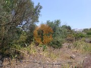 Terreno R�stico - Azinhal, Castro Marim, Faro (Algarve) - Miniatura: 6/9