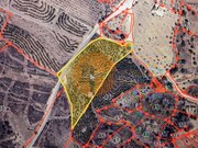 Terreno Rstico - Azinhal, Castro Marim, Faro (Algarve) - Miniatura: 5/9