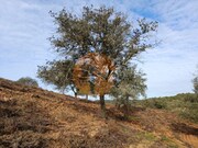 Terreno Rstico - Azinhal, Castro Marim, Faro (Algarve) - Miniatura: 1/9