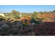 Terreno R�stico - Moncarapacho, Olh�o, Faro (Algarve) - Miniatura: 1/9