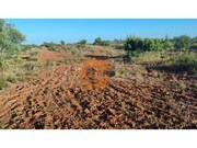 Terreno R�stico - Moncarapacho, Olh�o, Faro (Algarve) - Miniatura: 2/9