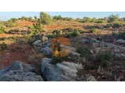 Terreno R�stico - Moncarapacho, Olh�o, Faro (Algarve) - Miniatura: 3/9