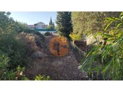 Terreno R�stico - Moncarapacho, Olh�o, Faro (Algarve) - Miniatura: 4/9