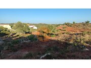 Terreno R�stico - Moncarapacho, Olh�o, Faro (Algarve) - Miniatura: 5/9