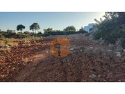 Terreno R�stico - Moncarapacho, Olh�o, Faro (Algarve) - Miniatura: 6/9