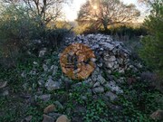 Terreno R�stico - Odeleite, Castro Marim, Faro (Algarve) - Miniatura: 1/9