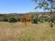 Terreno Rstico - So Brs de Alportel, So Brs de Alportel, Faro (Algarve) - Miniatura: 5/9