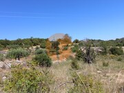 Terreno Rstico - So Brs de Alportel, So Brs de Alportel, Faro (Algarve) - Miniatura: 6/9